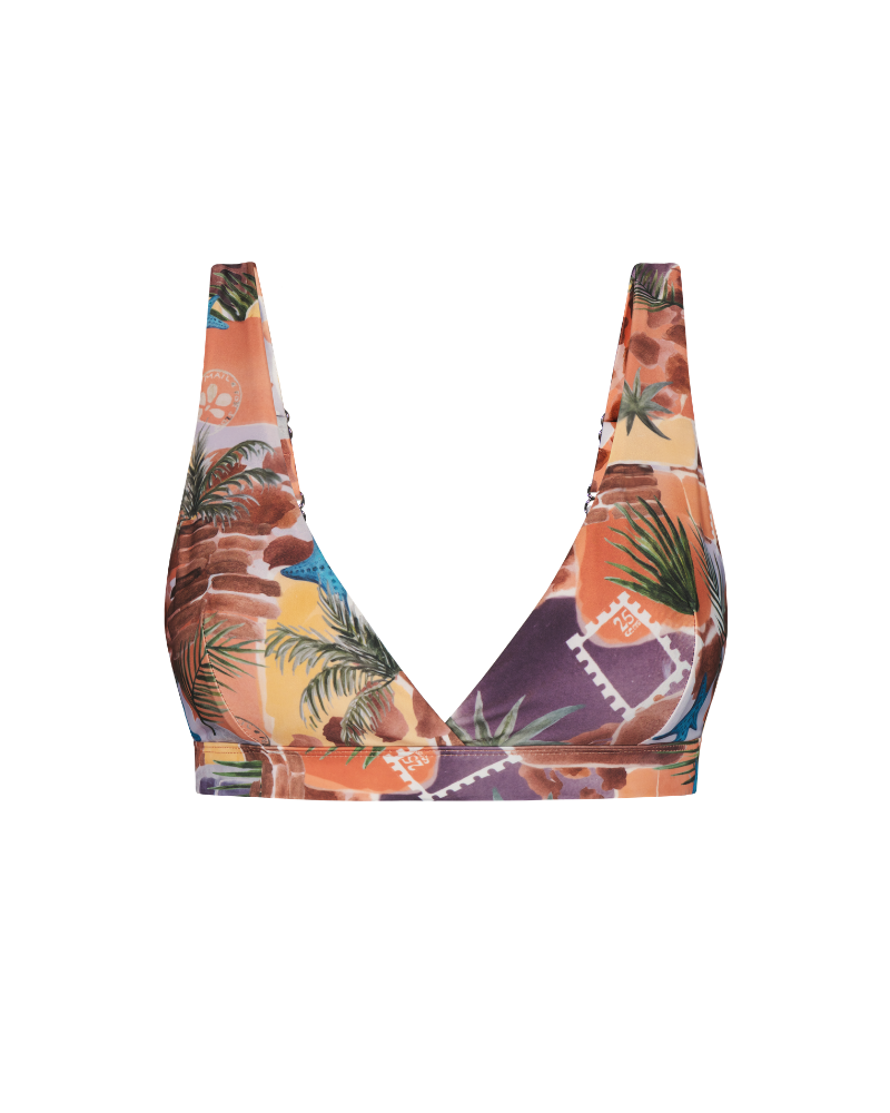 Souvenir Plunge Top