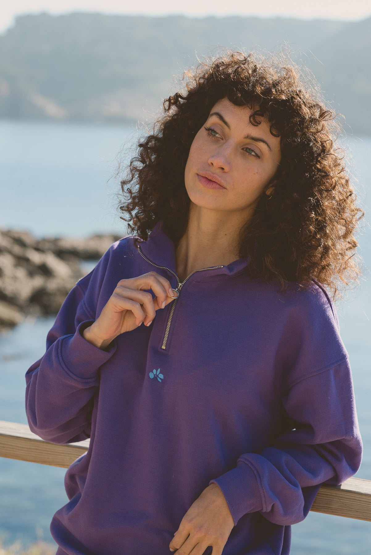 Purple quarter hot sale zip pullover